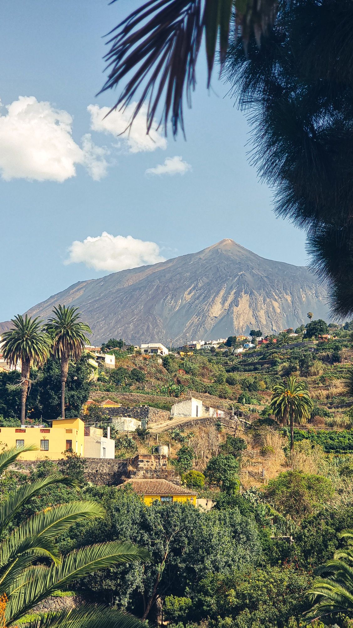 The Orotava valley